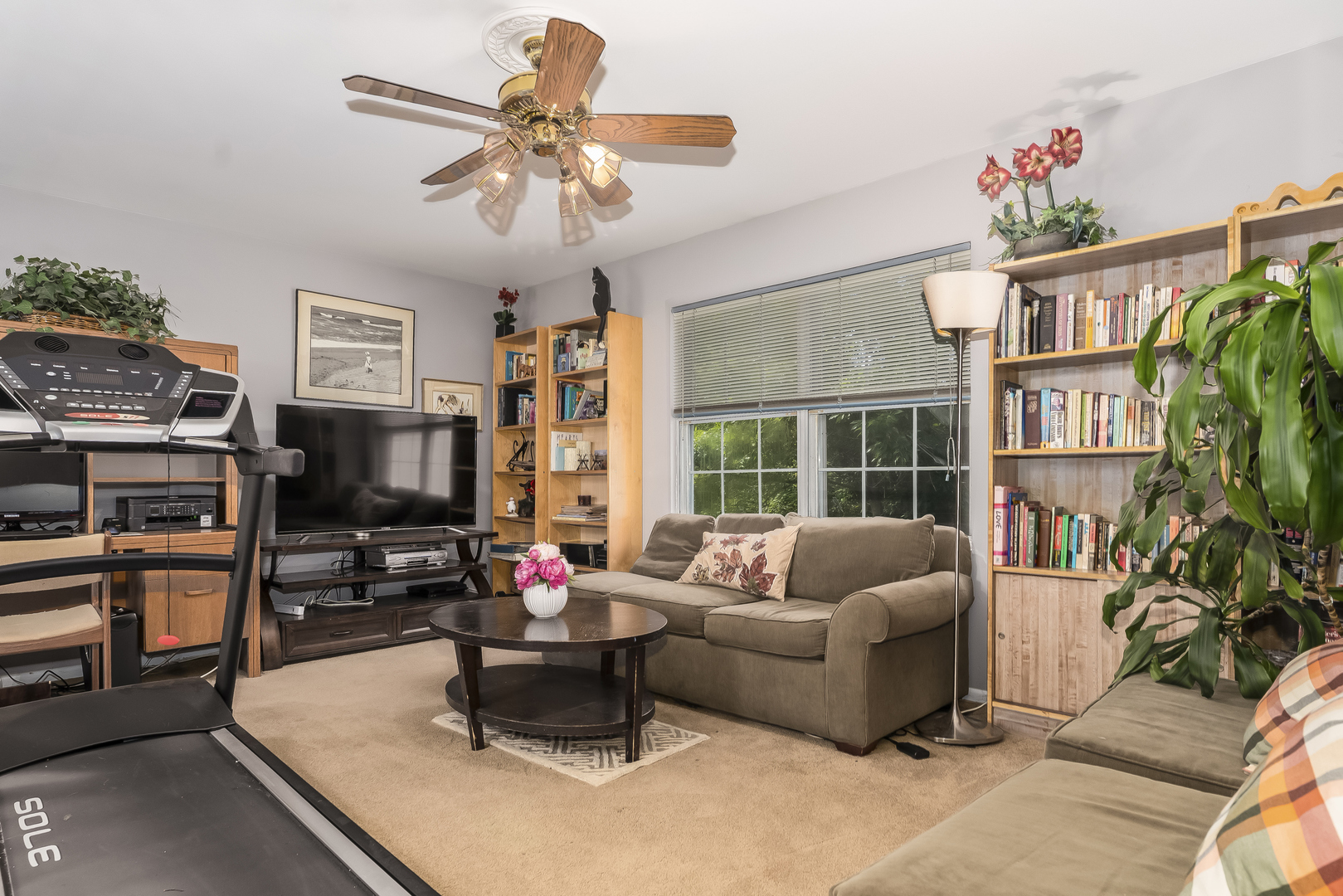 1437 Pinetree Drive