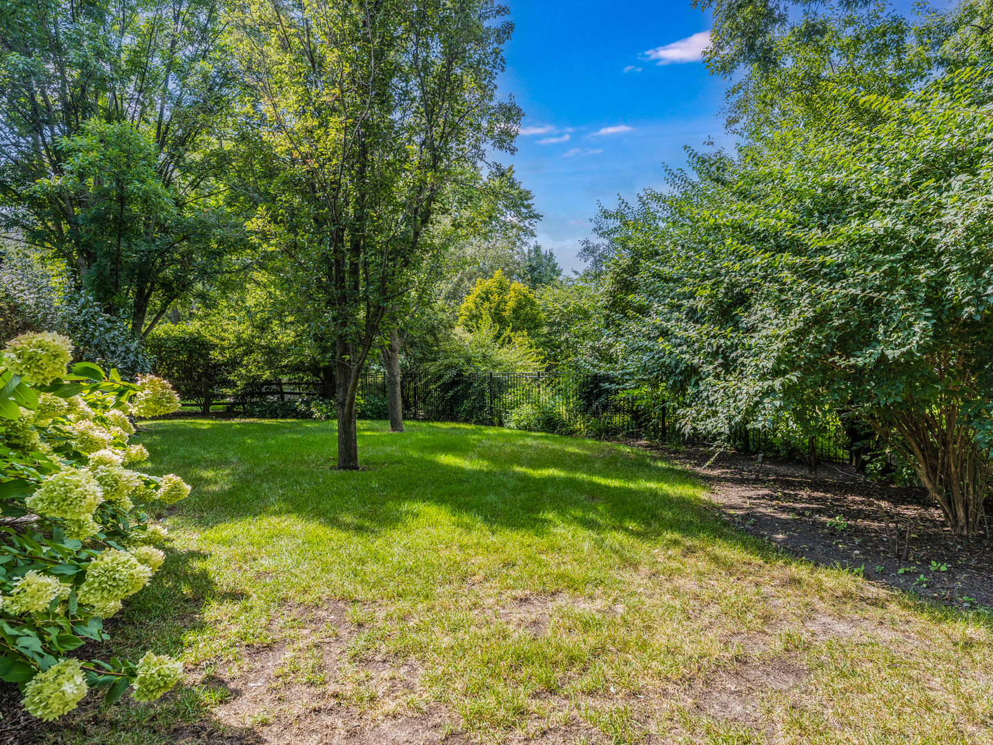 1437 Pinetree Drive