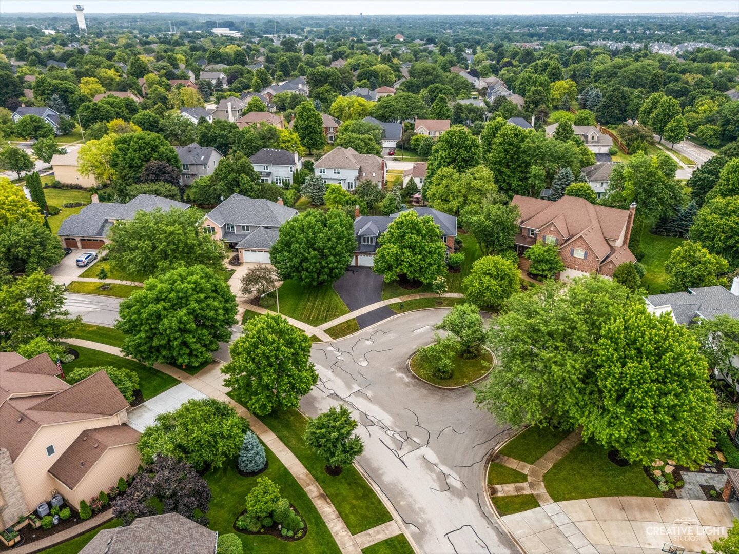 3816 Mandeville Lane
