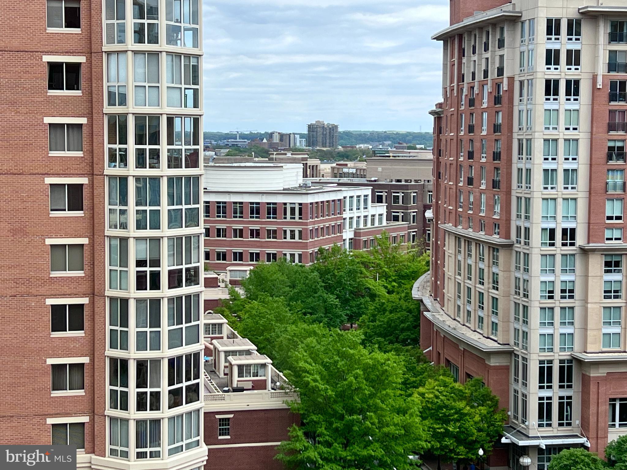 2181 Jamieson Ave #1405