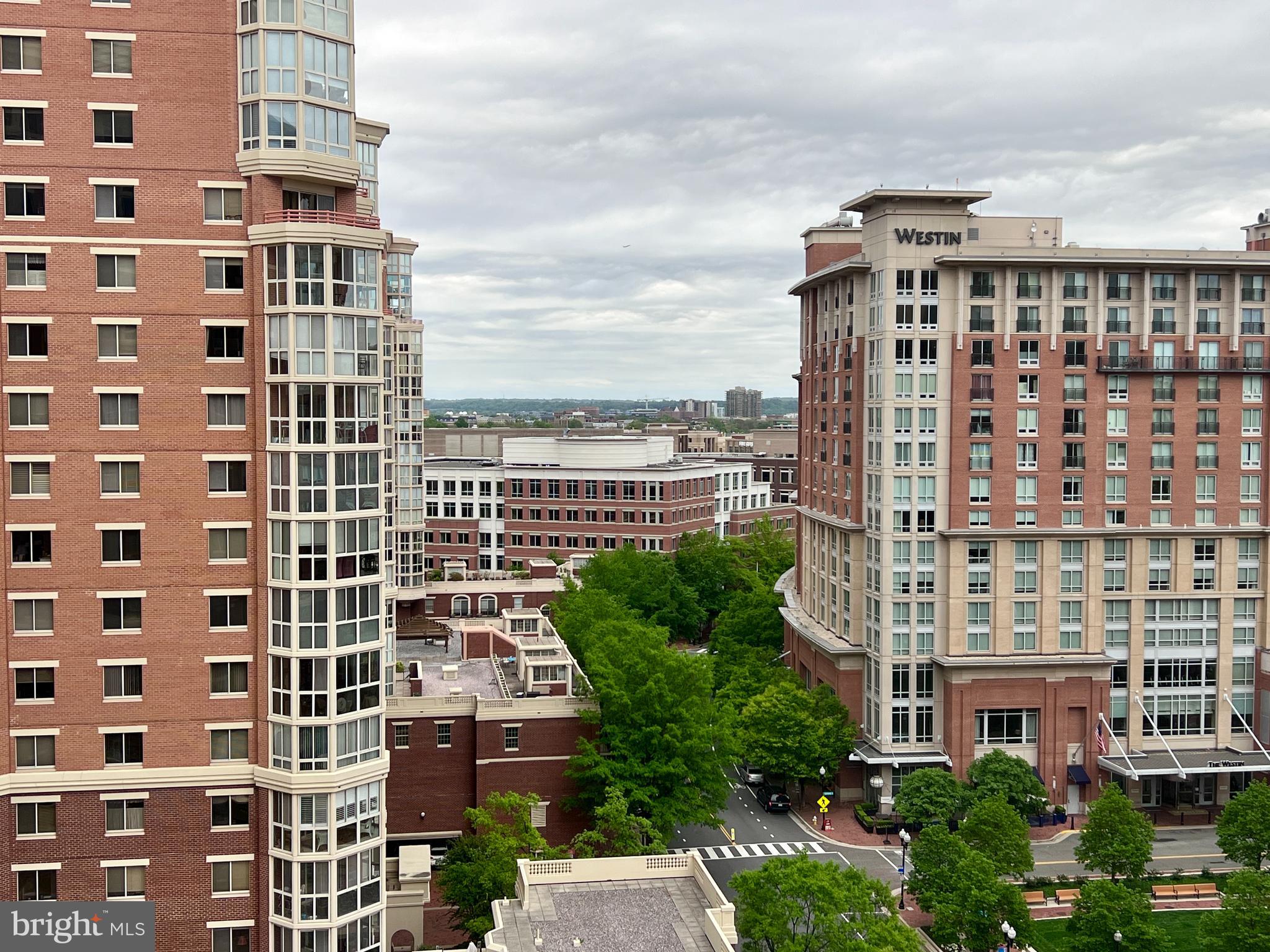 2181 Jamieson Ave #1405