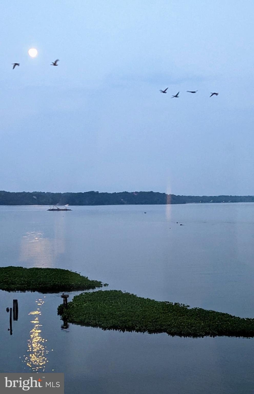 1250 S Washington St #410