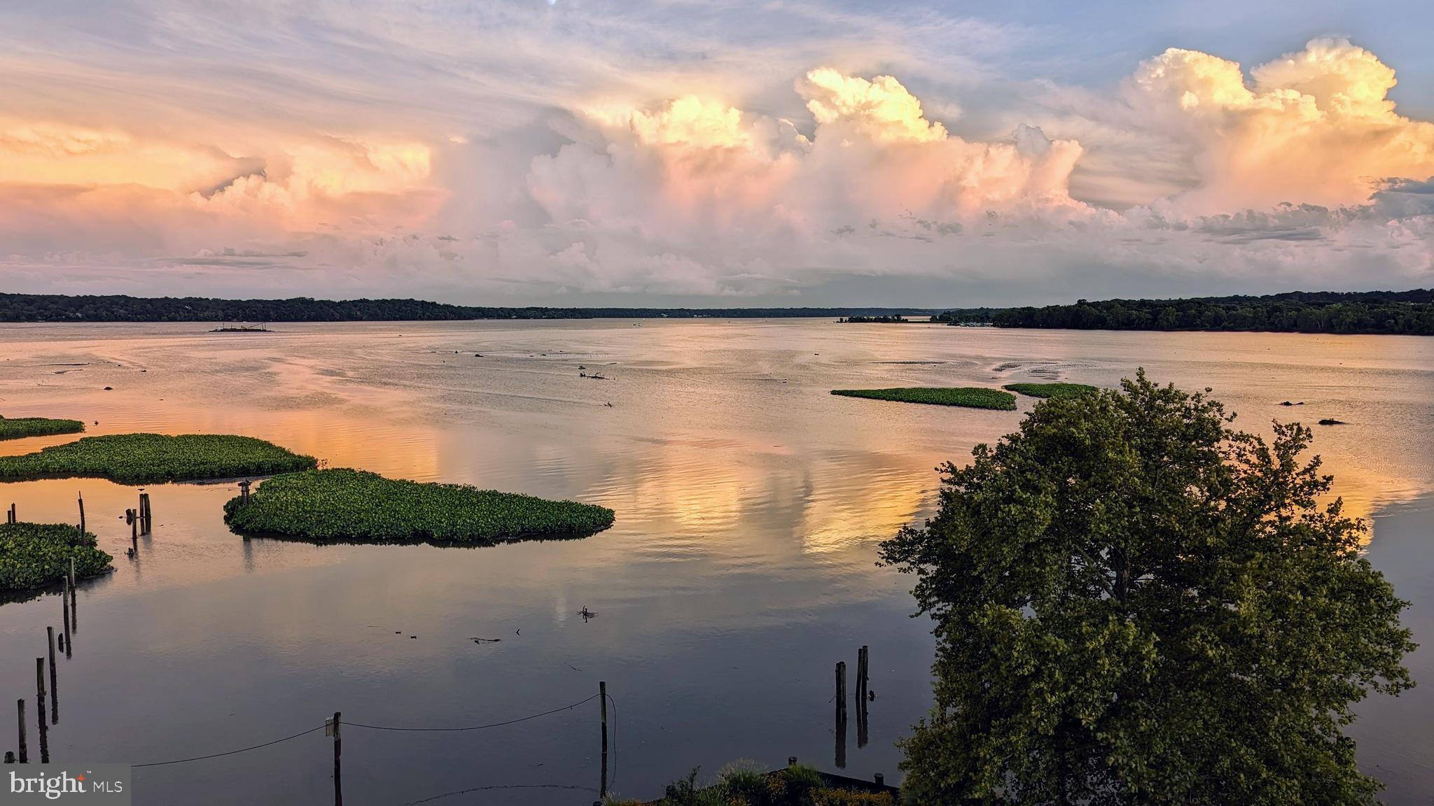 1250 S Washington St #410