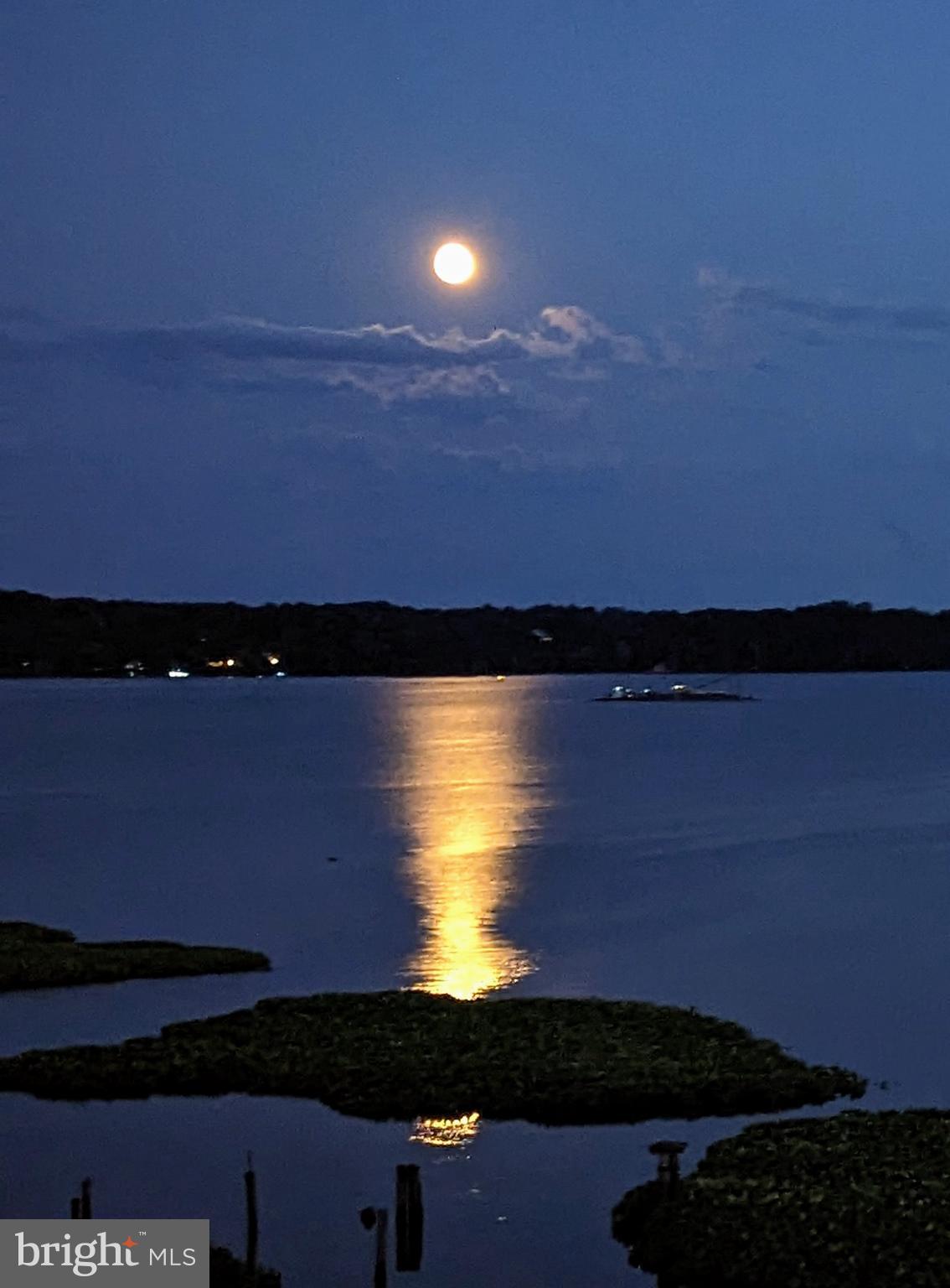 1250 S Washington St #410