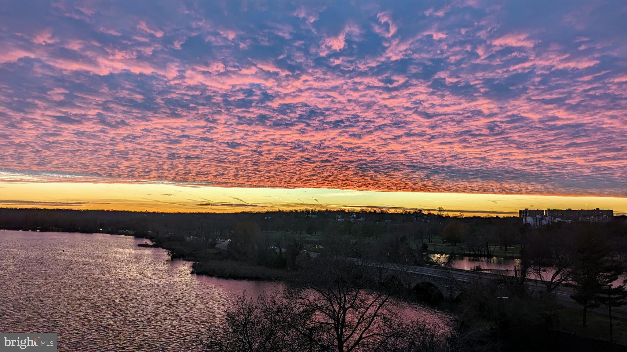 1250 S Washington St #410