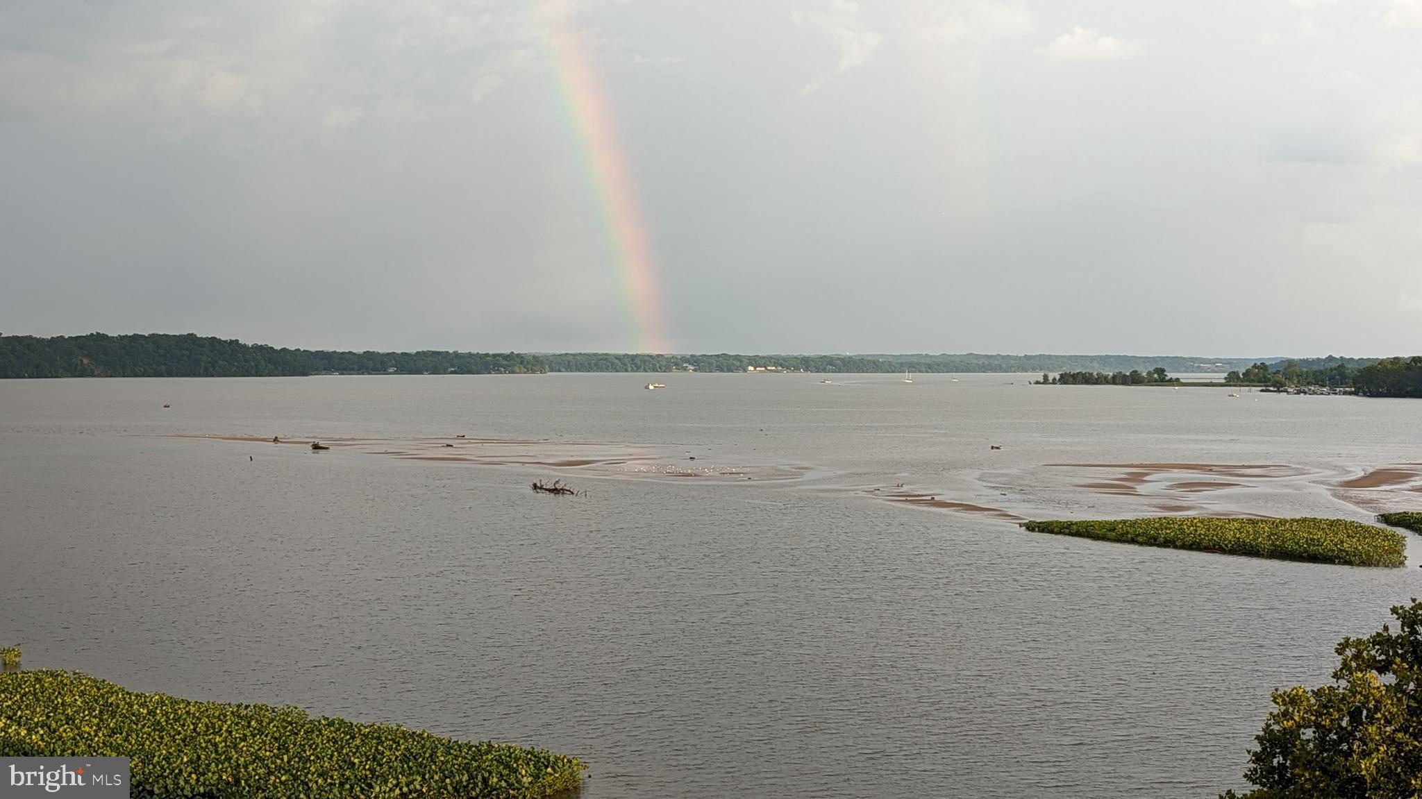 1250 S Washington St #410