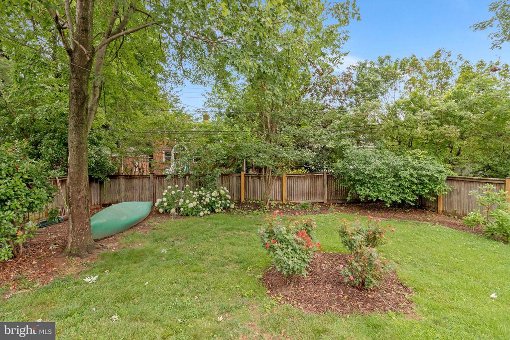 17 Cedar St