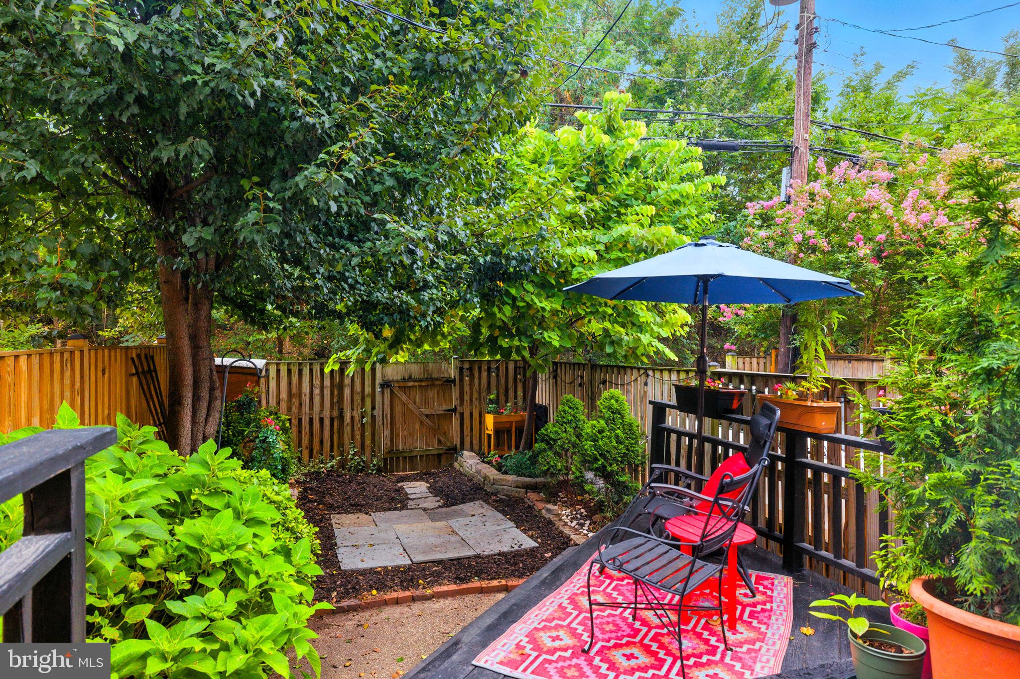 333 MOUNT VERNON AVENUE