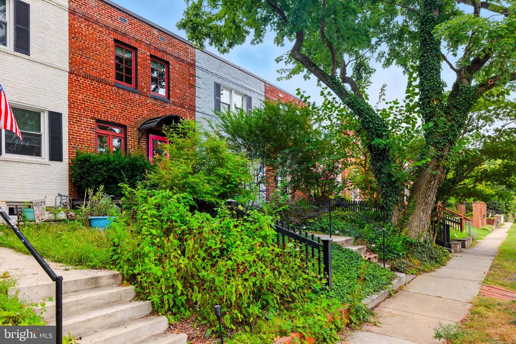 333 MOUNT VERNON AVENUE