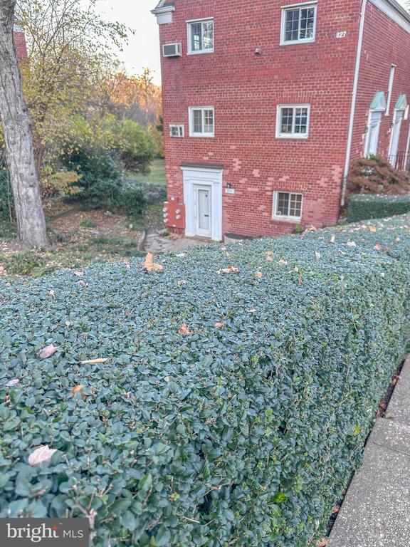 3343 MARTHA CUSTIS DRIVE