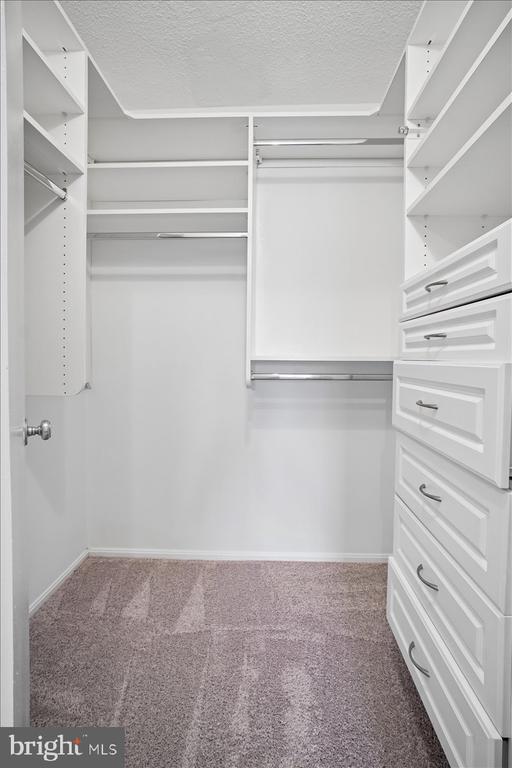 307 YOAKUM PARKWAY 407