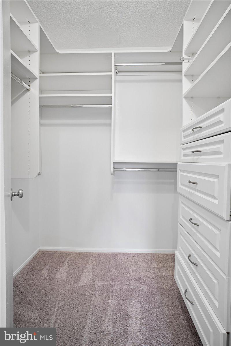 307 YOAKUM PARKWAY 407