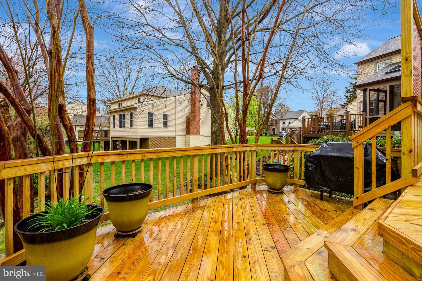 13435 Black Gum Ct
