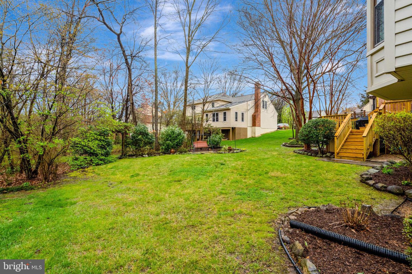 13435 Black Gum Ct
