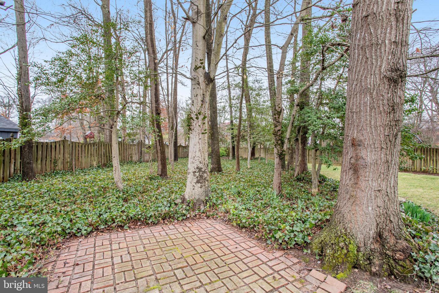 1903 Cool Spring Dr