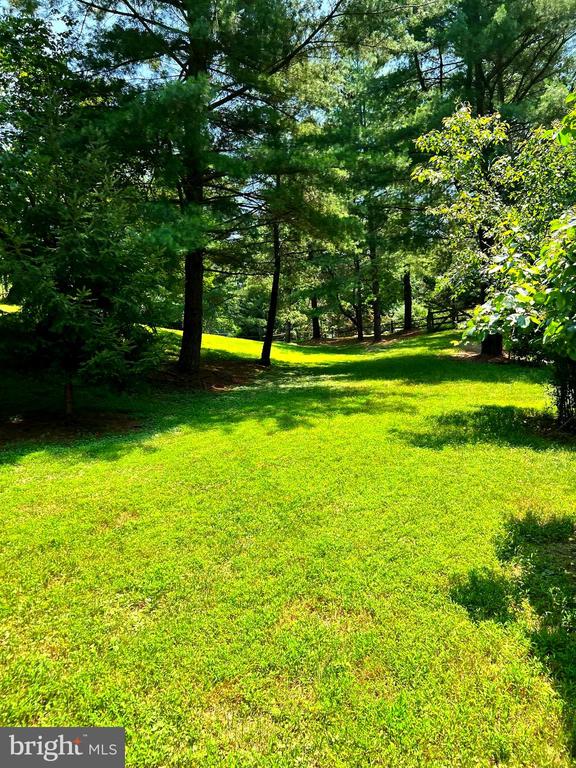 250 GOLDEN WOODS COURT