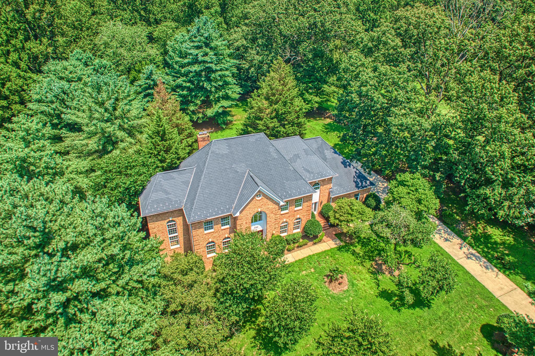 250 GOLDEN WOODS COURT