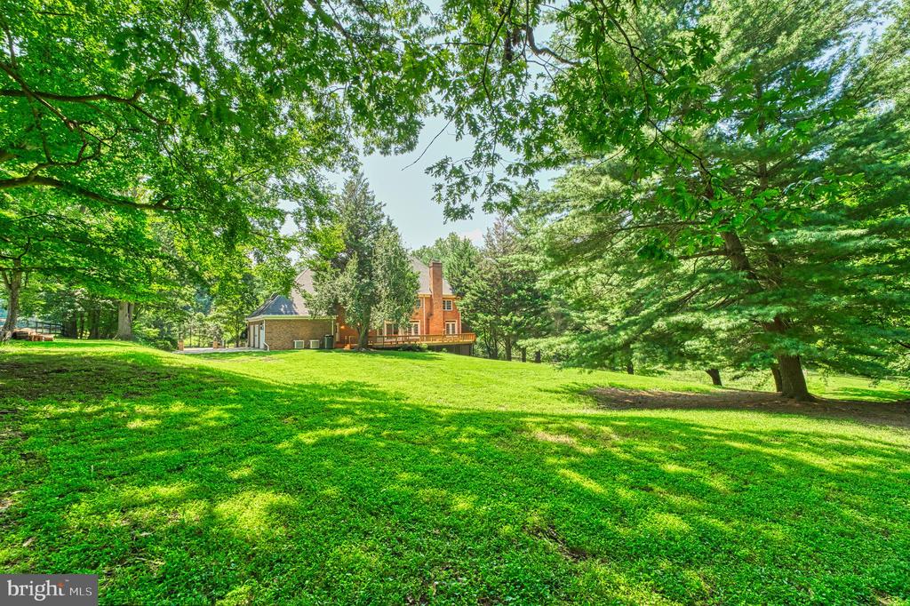 250 GOLDEN WOODS COURT