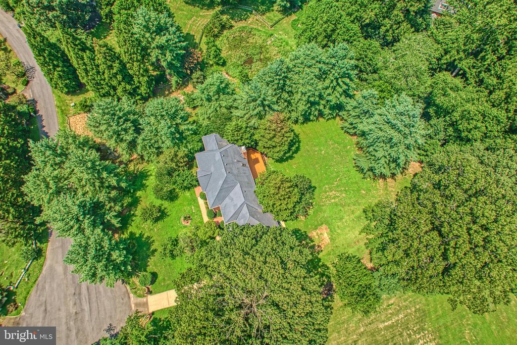 250 GOLDEN WOODS COURT