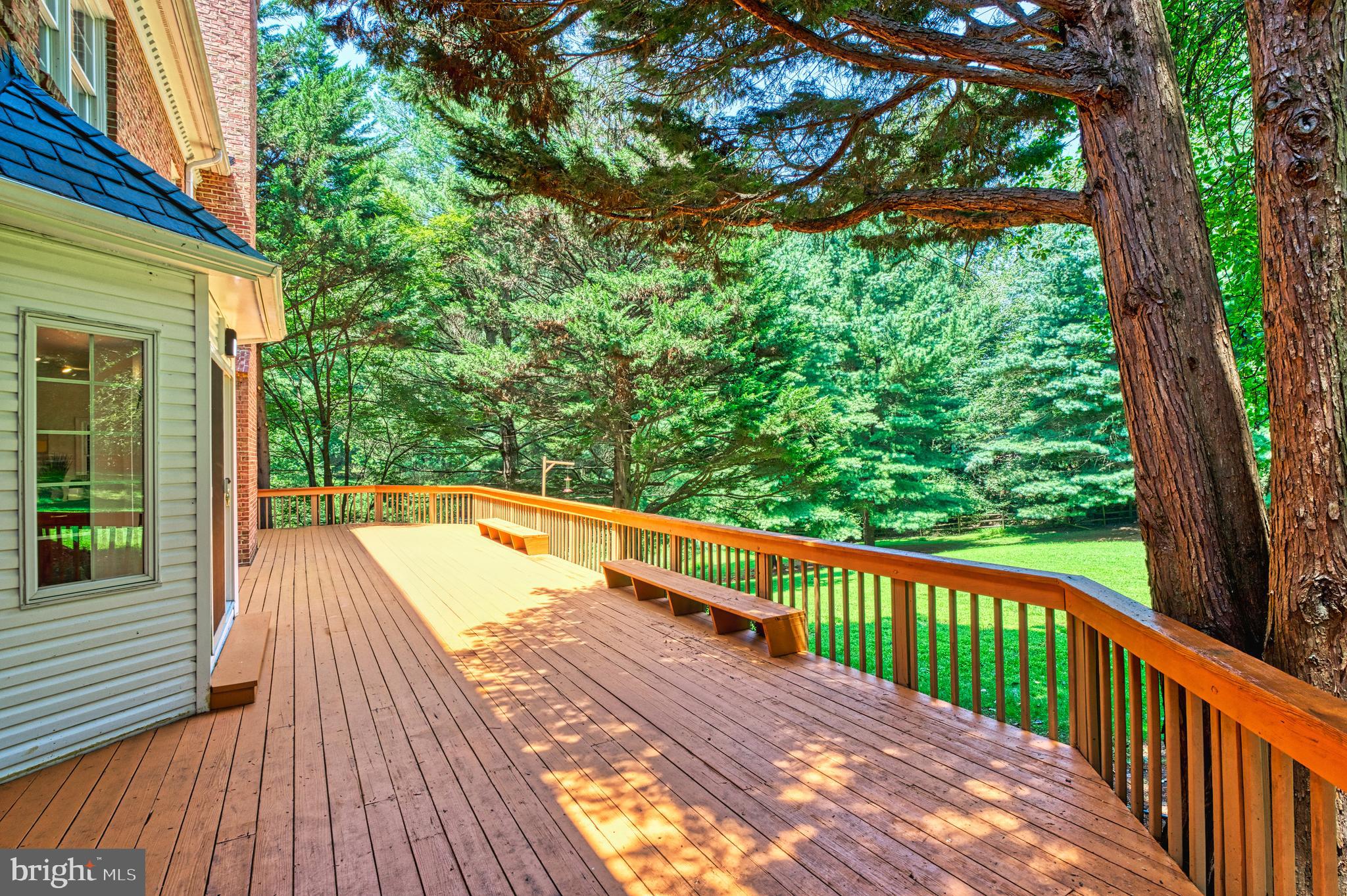 250 GOLDEN WOODS COURT