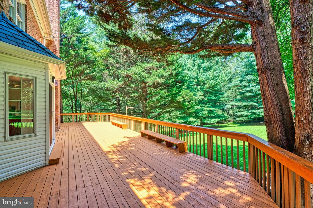 250 GOLDEN WOODS COURT