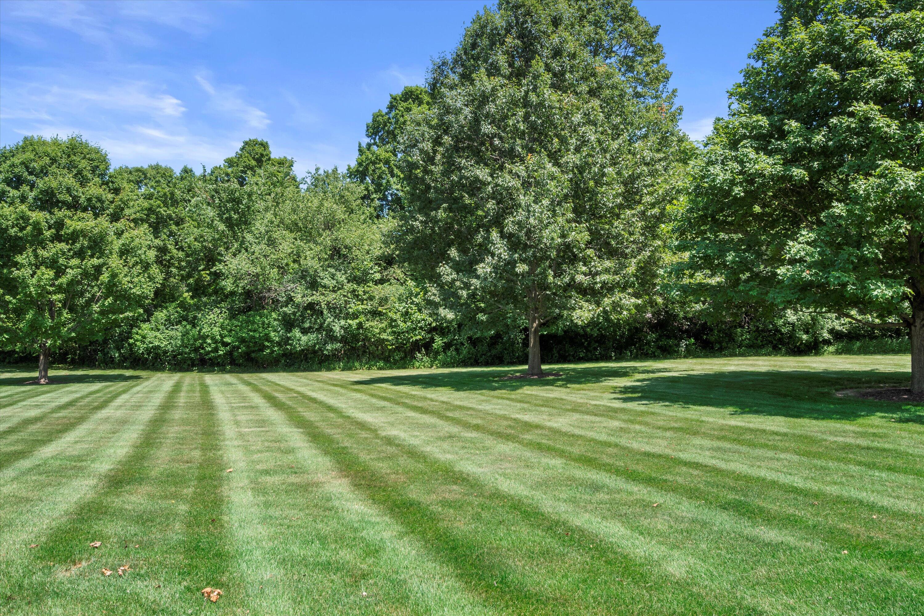 768 Coyote Ct