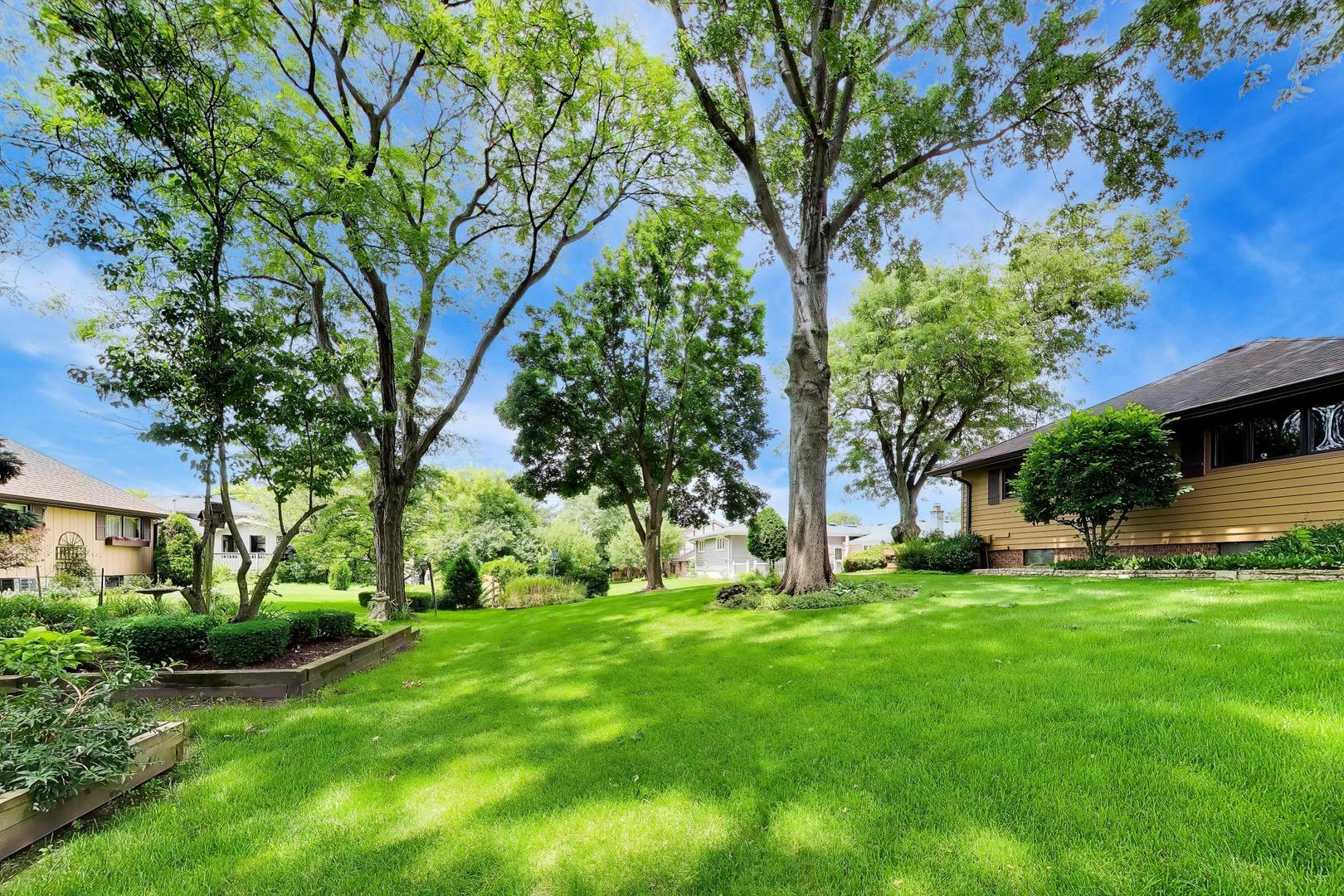 16W671 Fern Street