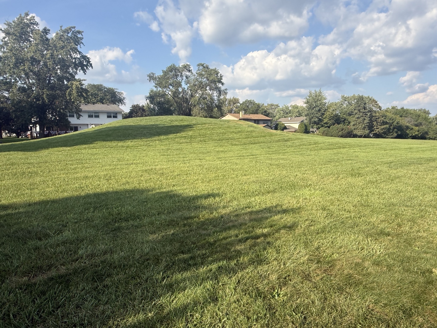 Rolling green lawn with mature trees and neighboring homes in the distance.
