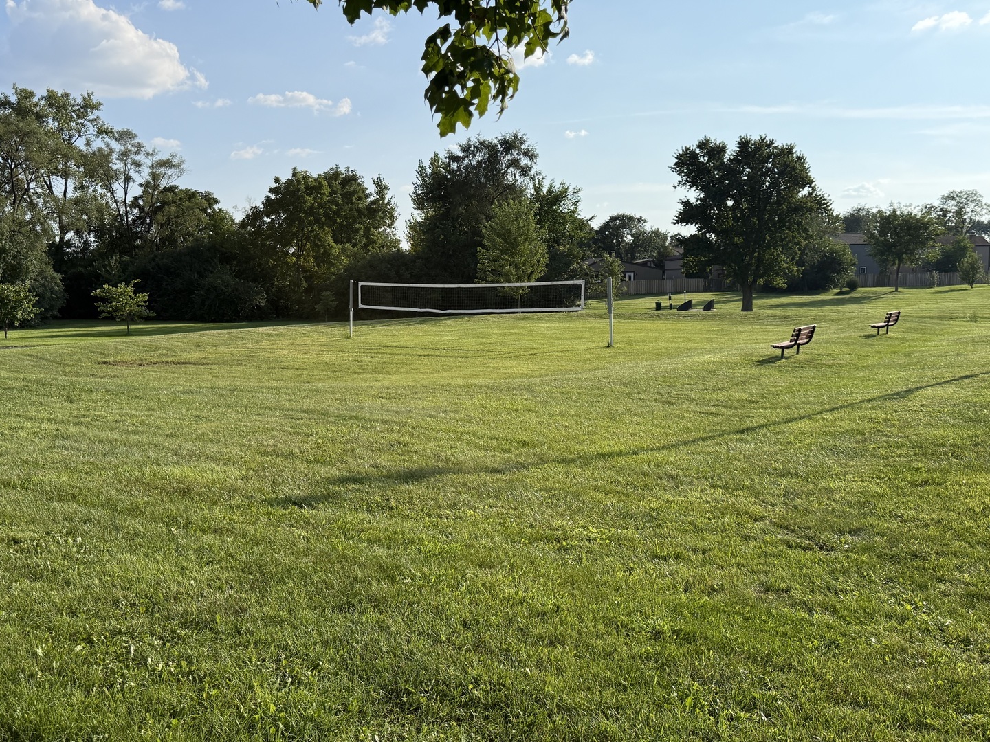 Grassy outdoor recreation area with a volleyball net, two benches, and mature trees.