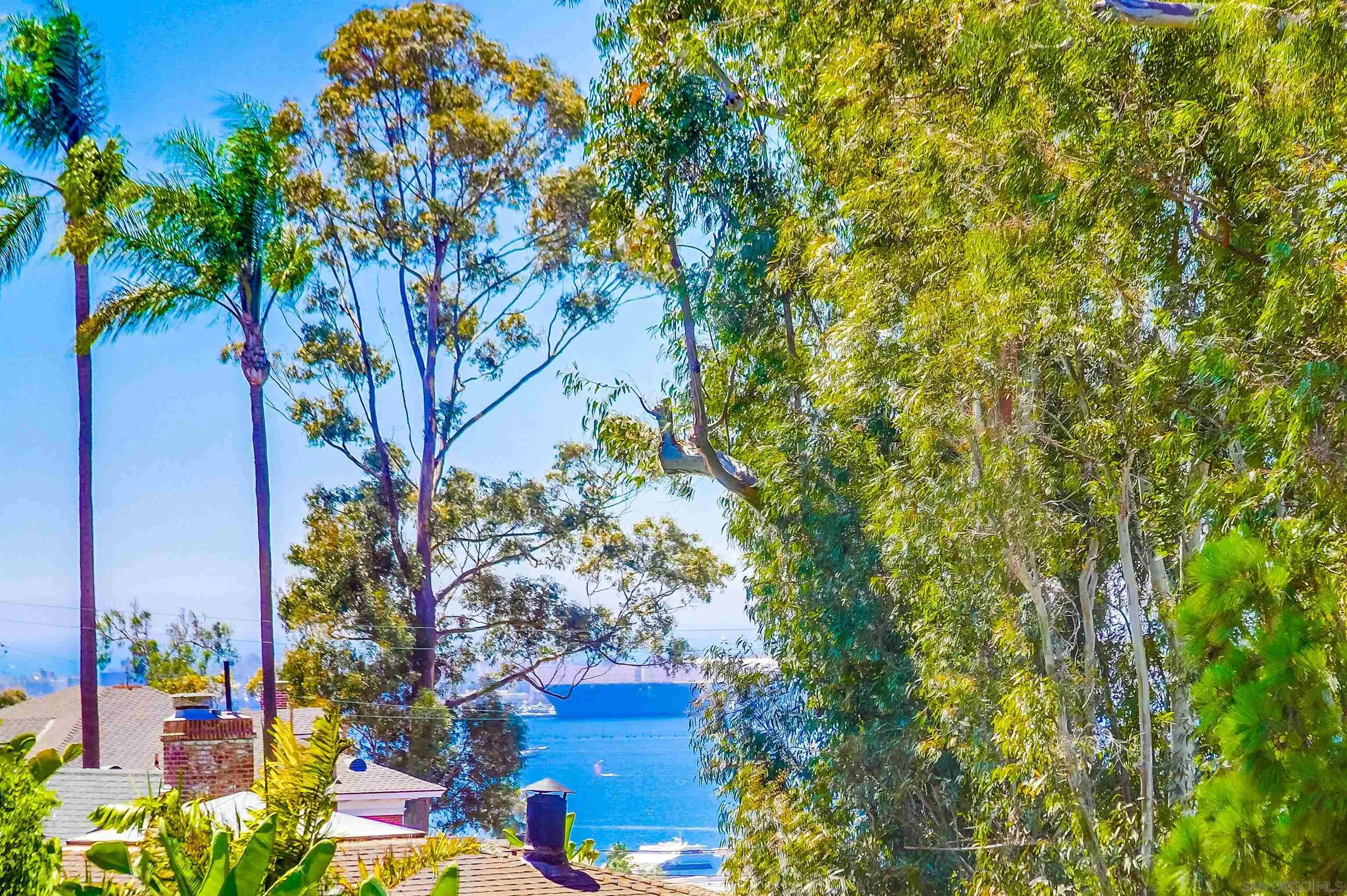 2854 Albatross Street