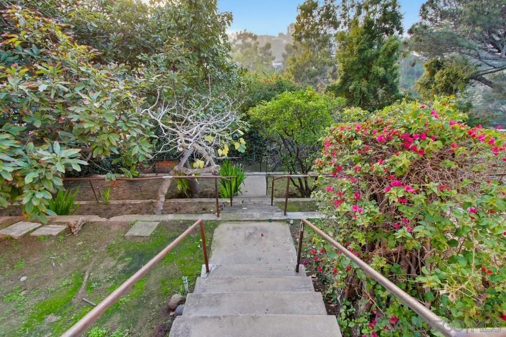 2854 Albatross Street