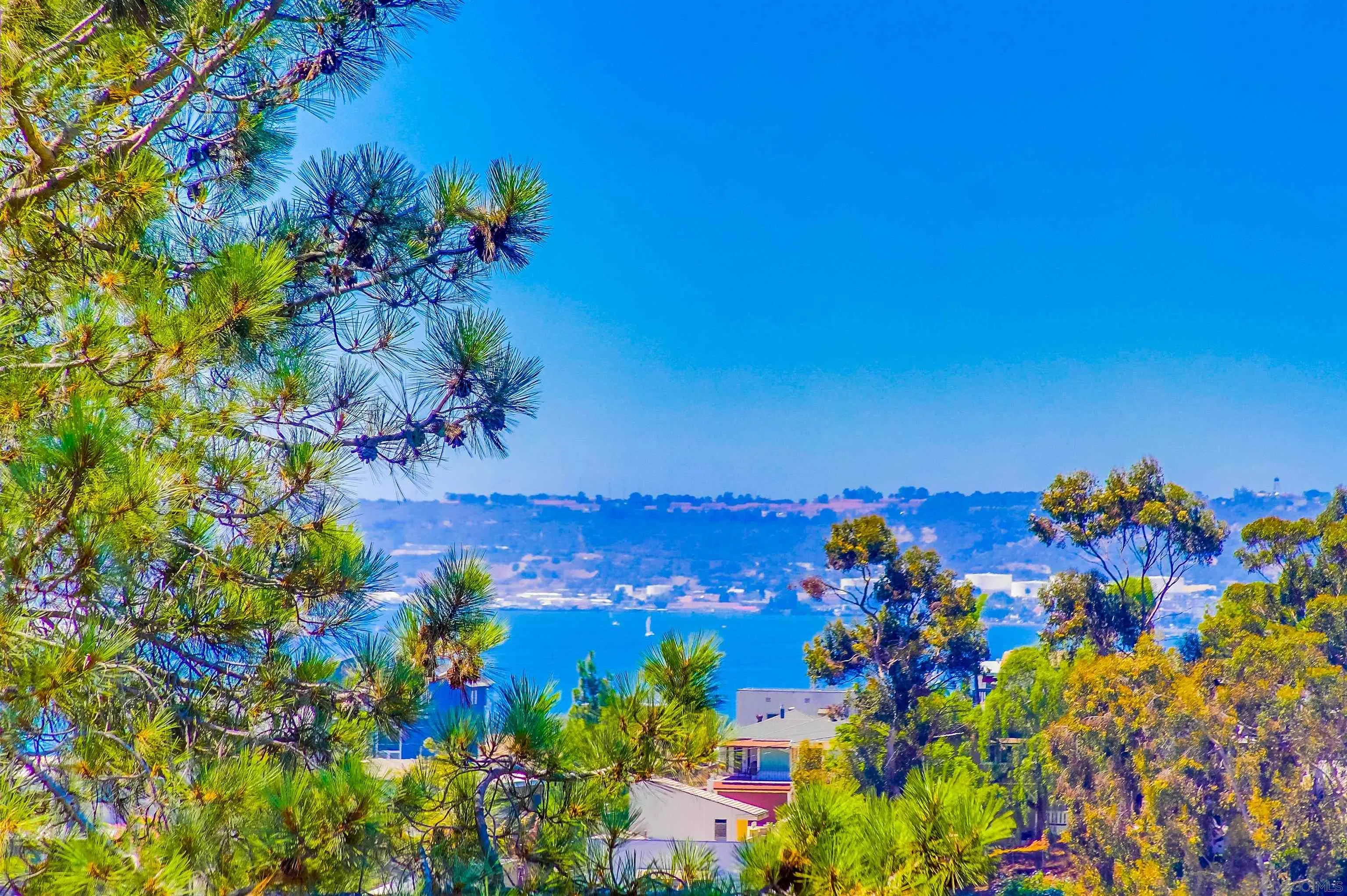 2854 Albatross Street