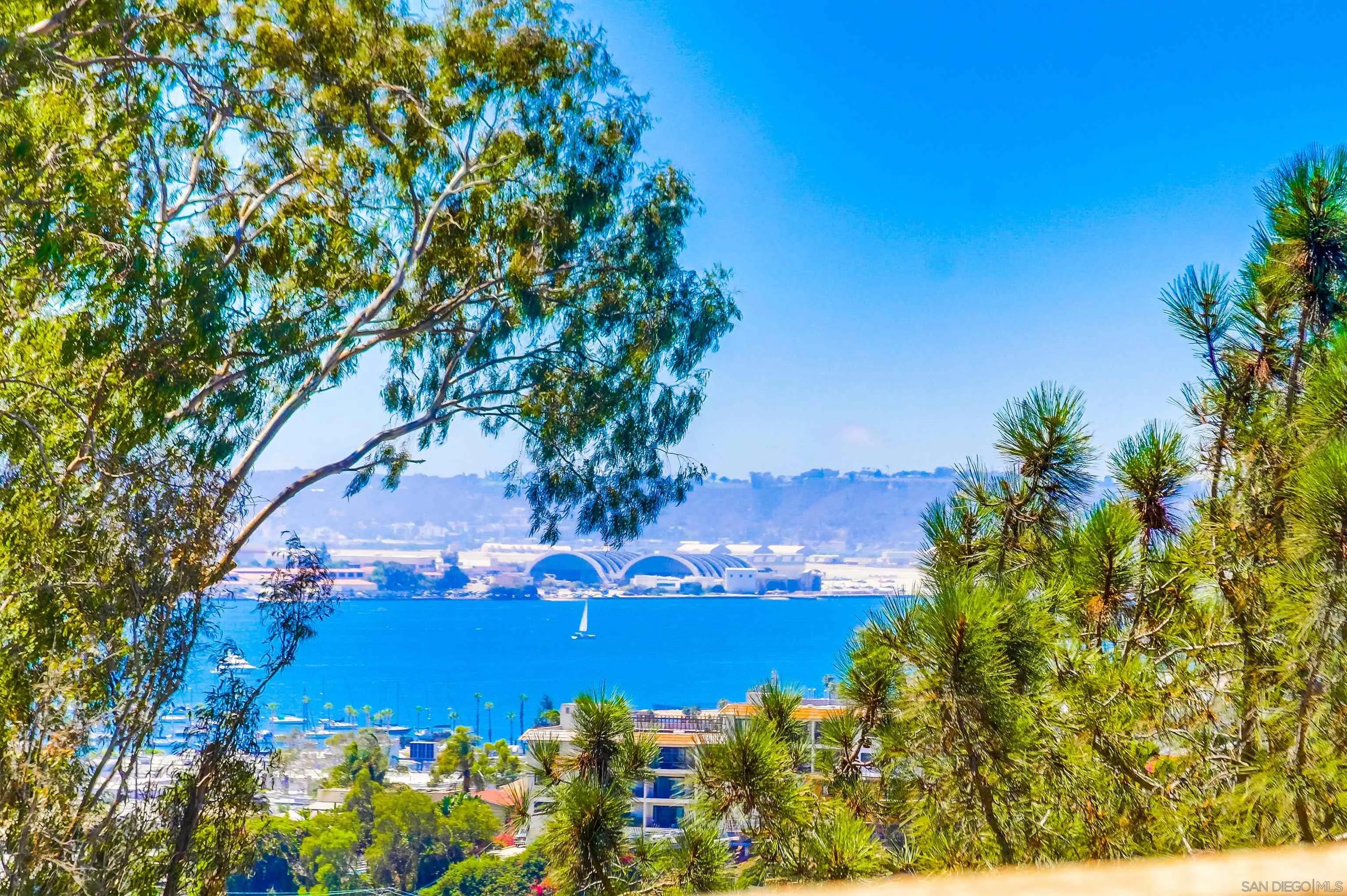 2854 Albatross Street