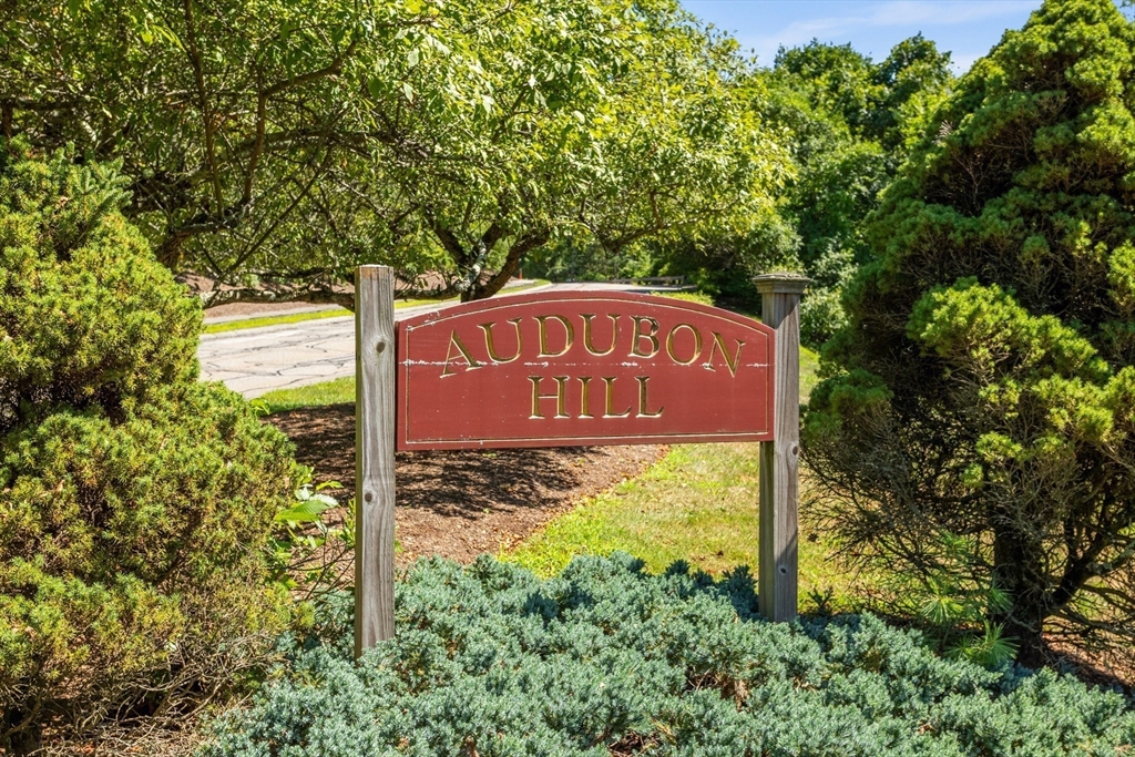 115 Audubon Dr # 115