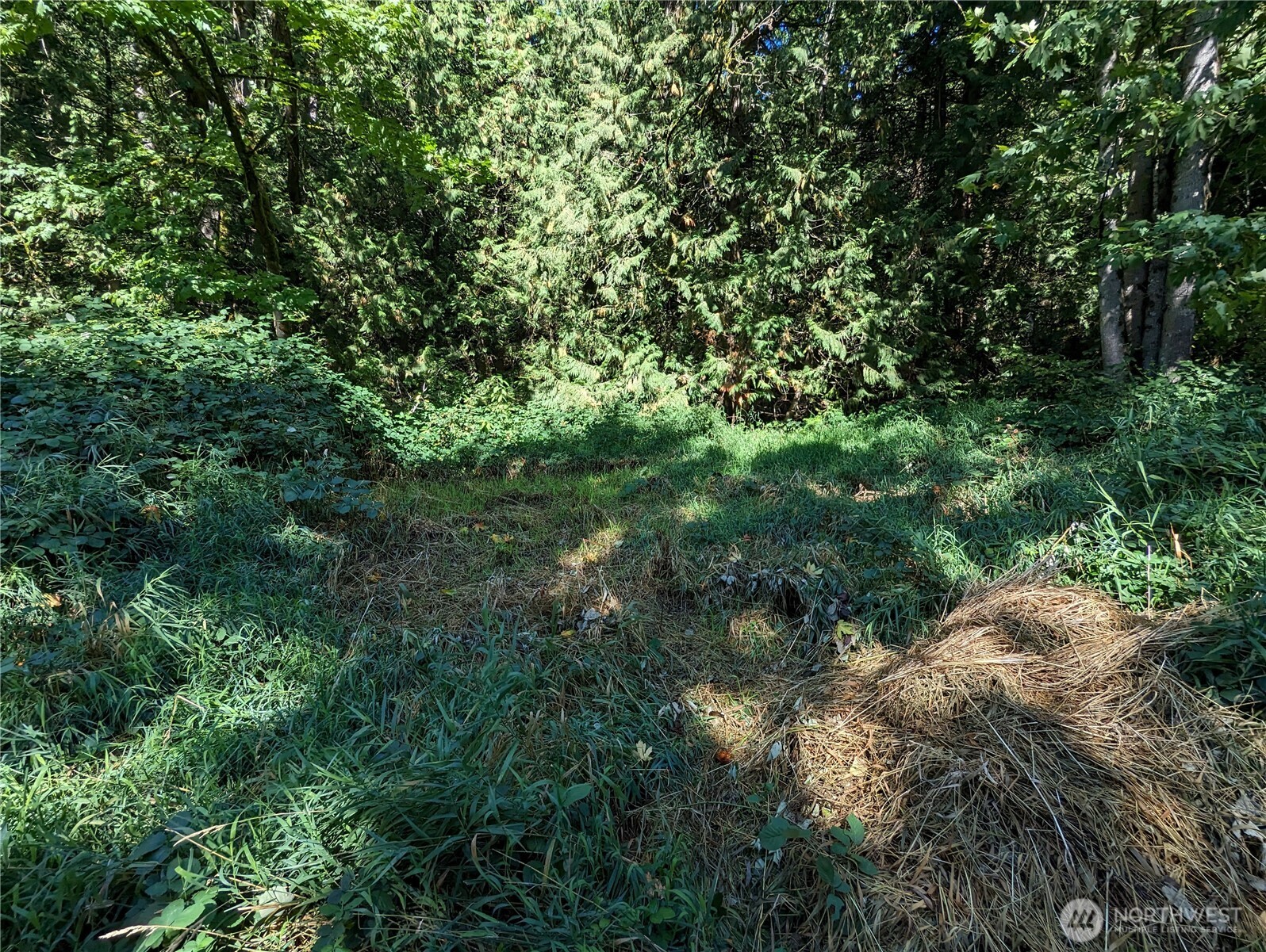 5326 Reese Hill Road