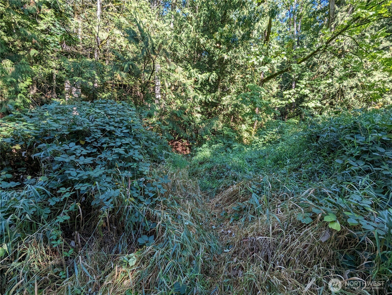 5326 Reese Hill Road