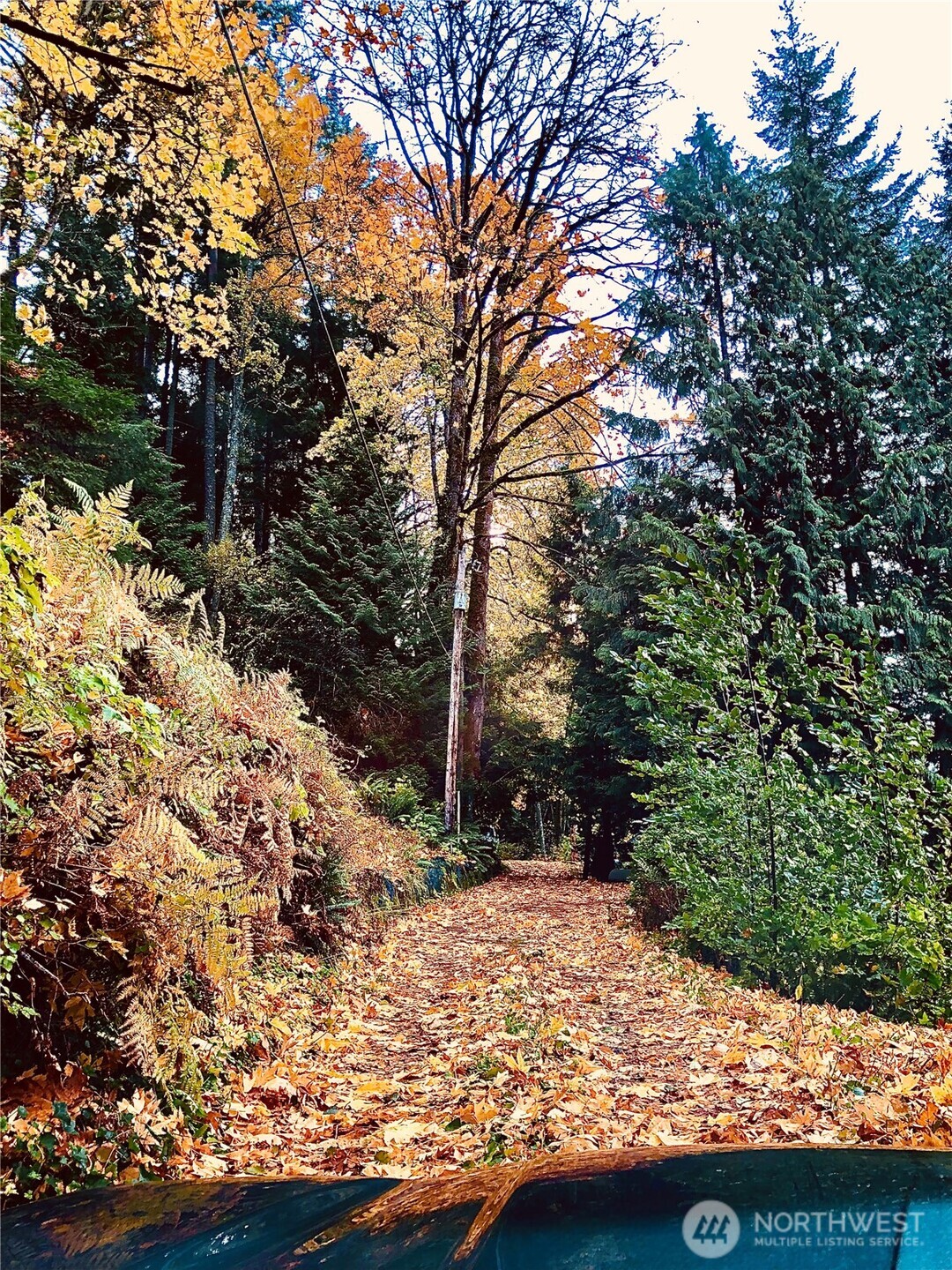 1817 Sleepy Hollow Lane