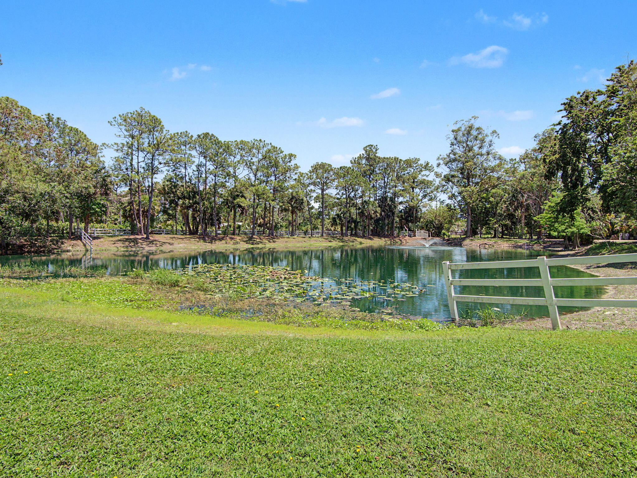 17101 Haynie Lane, Farms