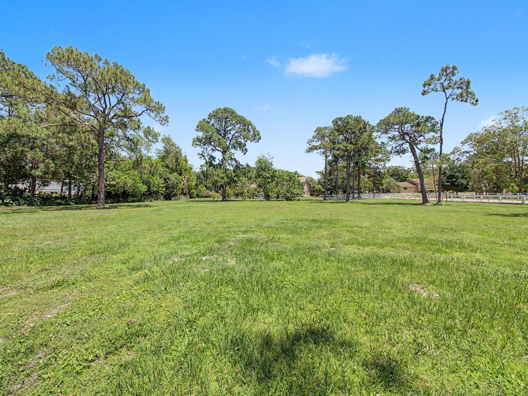 17101 Haynie Lane, Farms