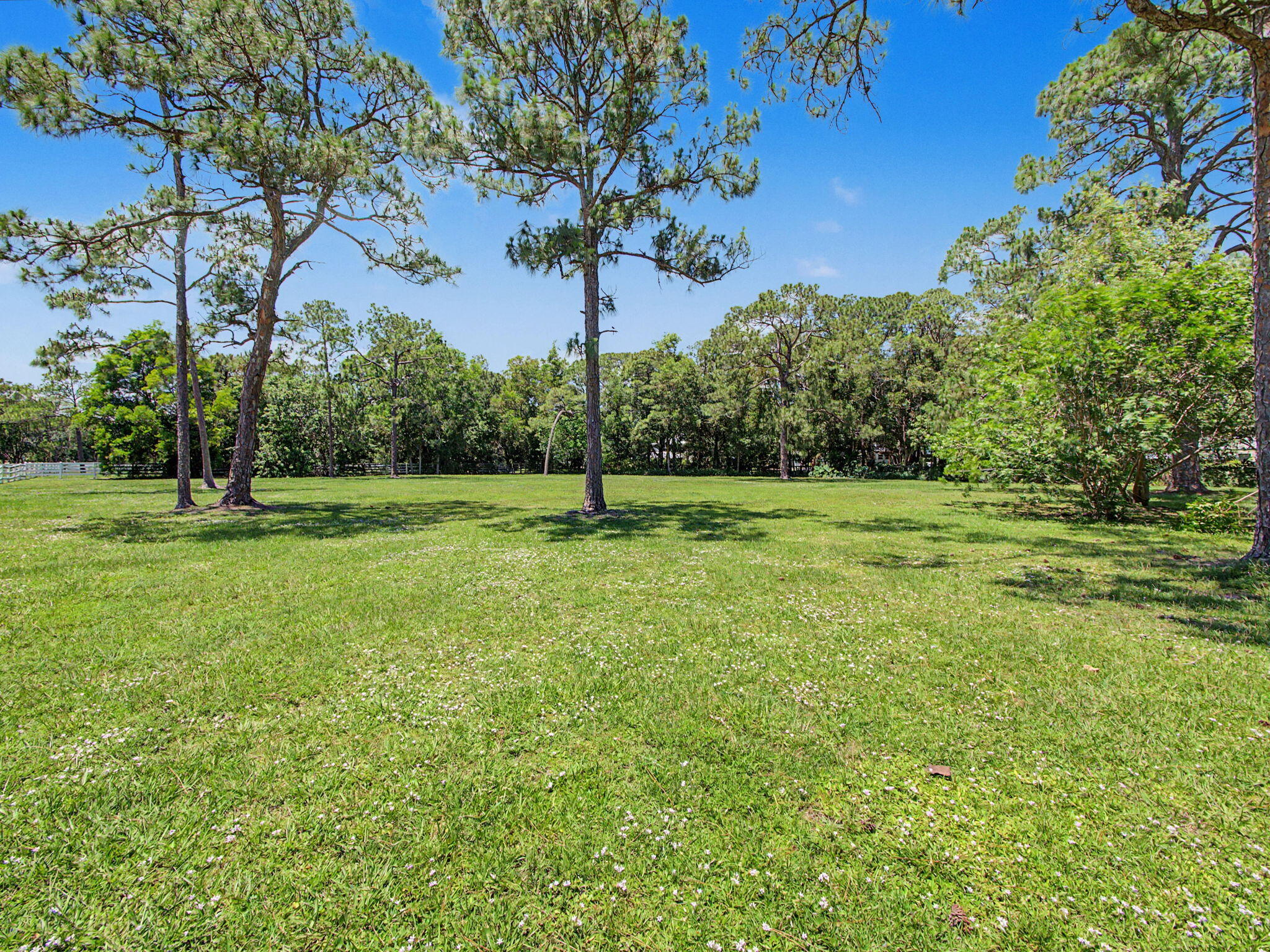 17101 Haynie Lane, Farms