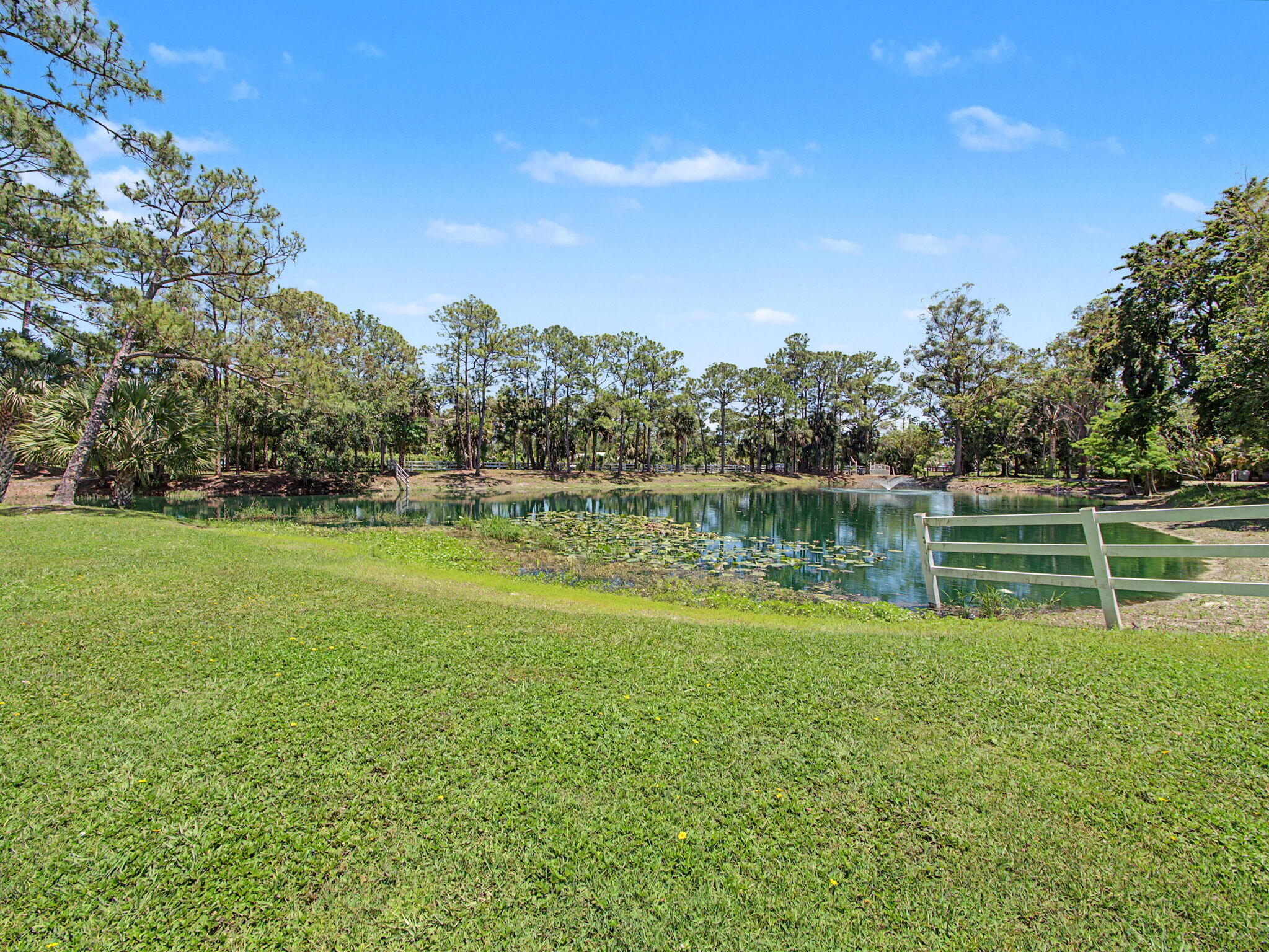 17101 Haynie Lane, Farms