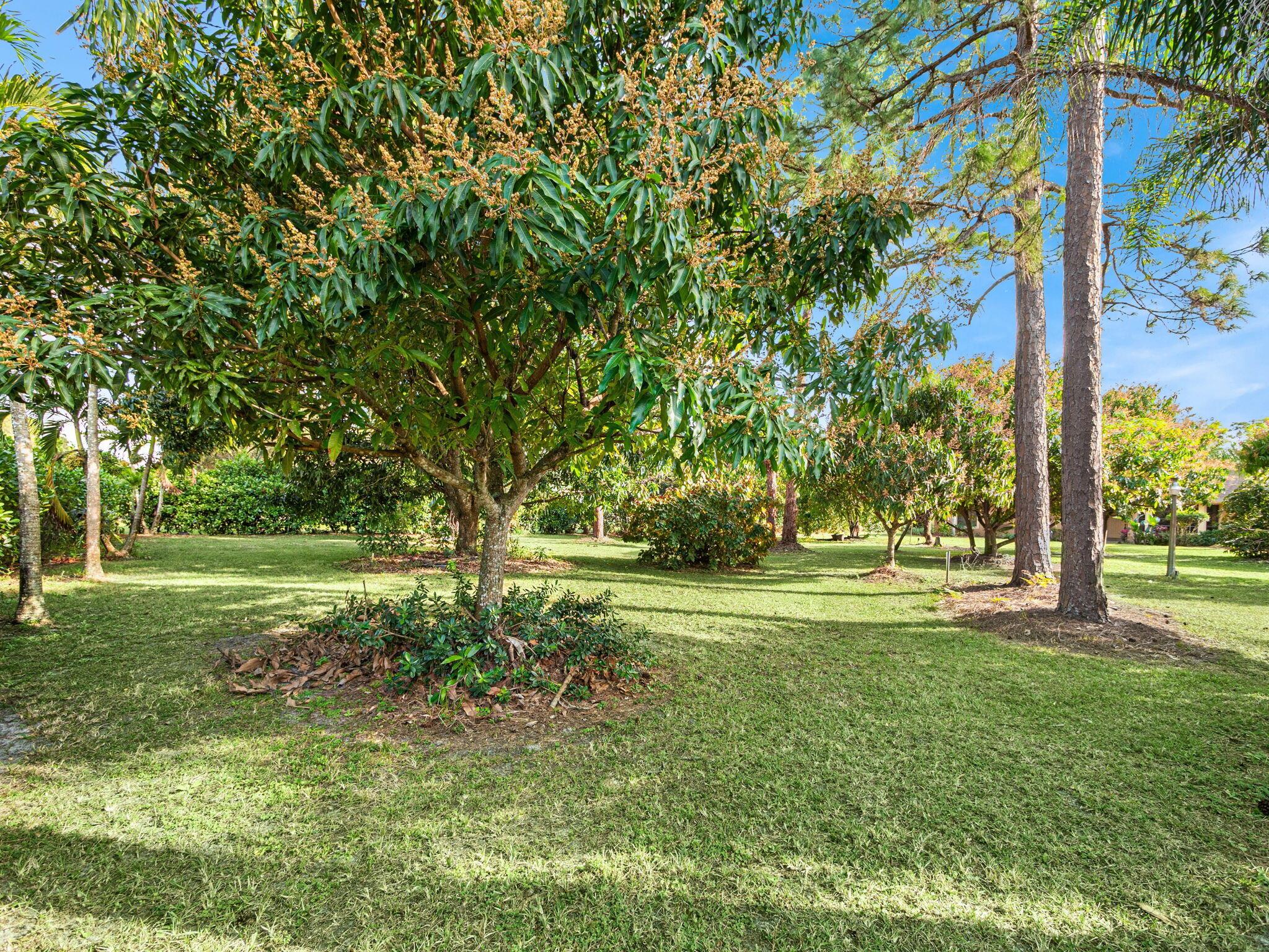 13394 N 150th Court N