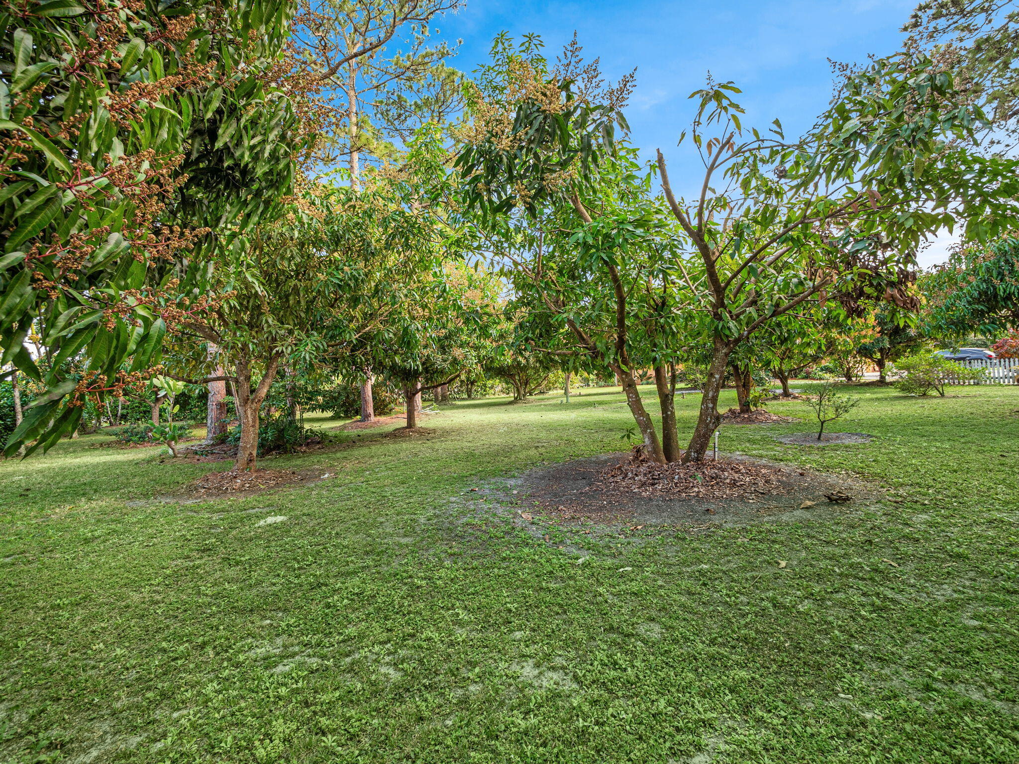 13394 N 150th Court N