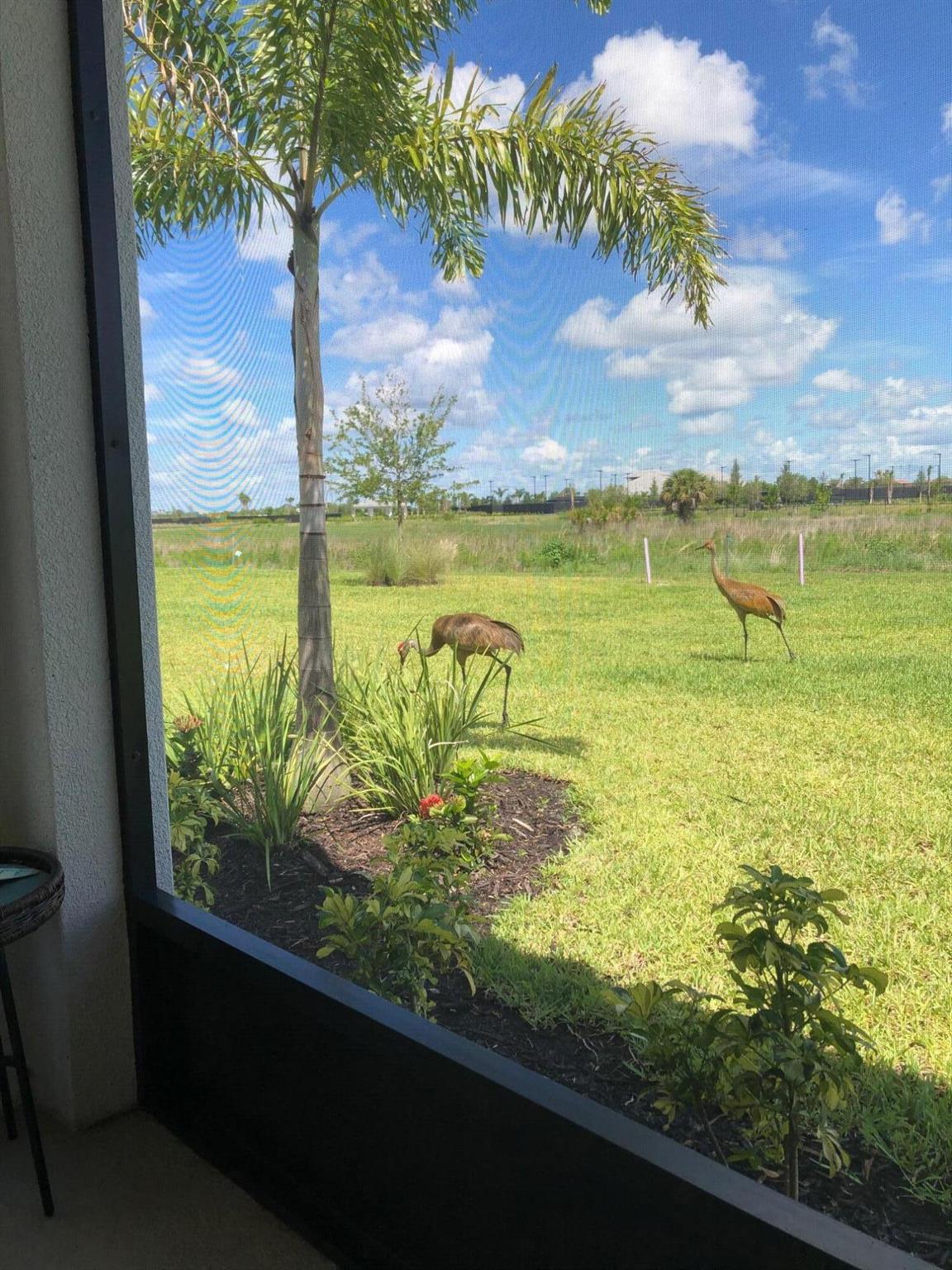 12861 SW Ambra Street