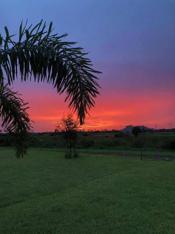 12861 SW Ambra Street