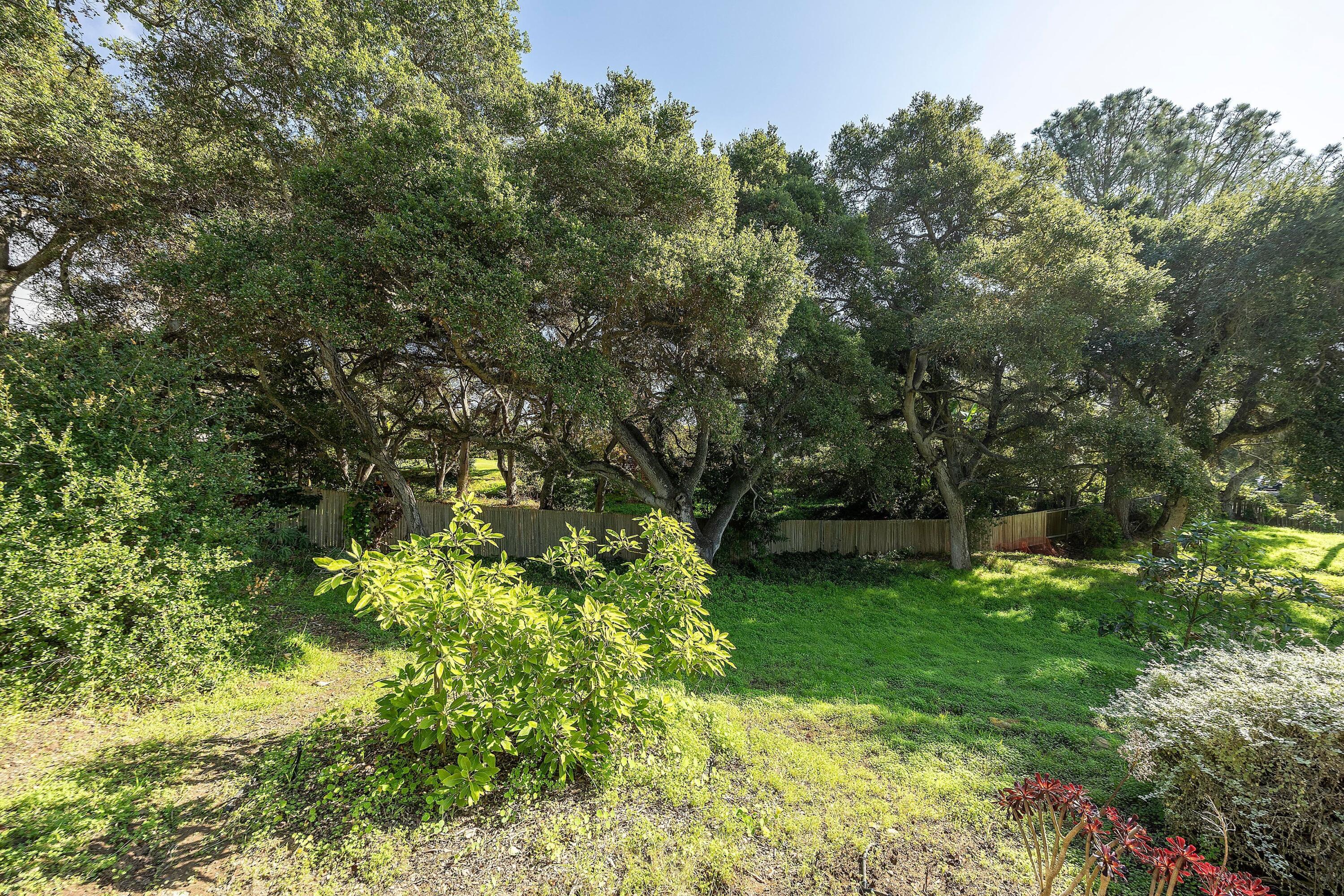 1994 Paquita Drive