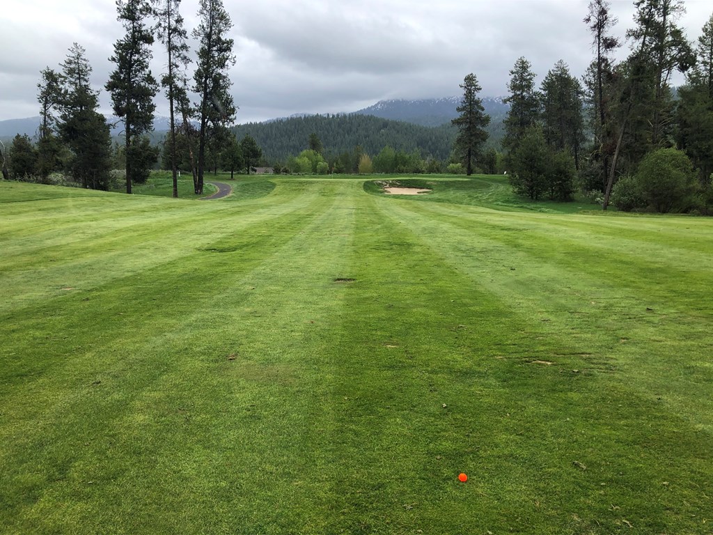 1107 Mo's Way, McCall