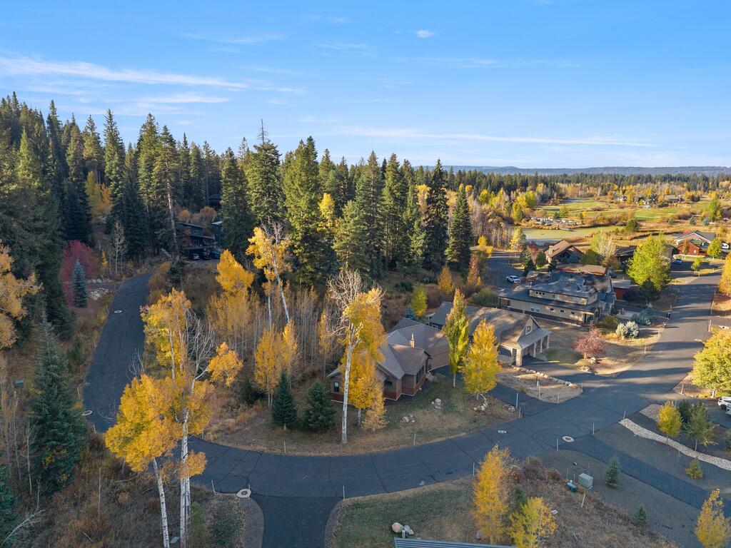 1500 Dragonfly Loop, McCall