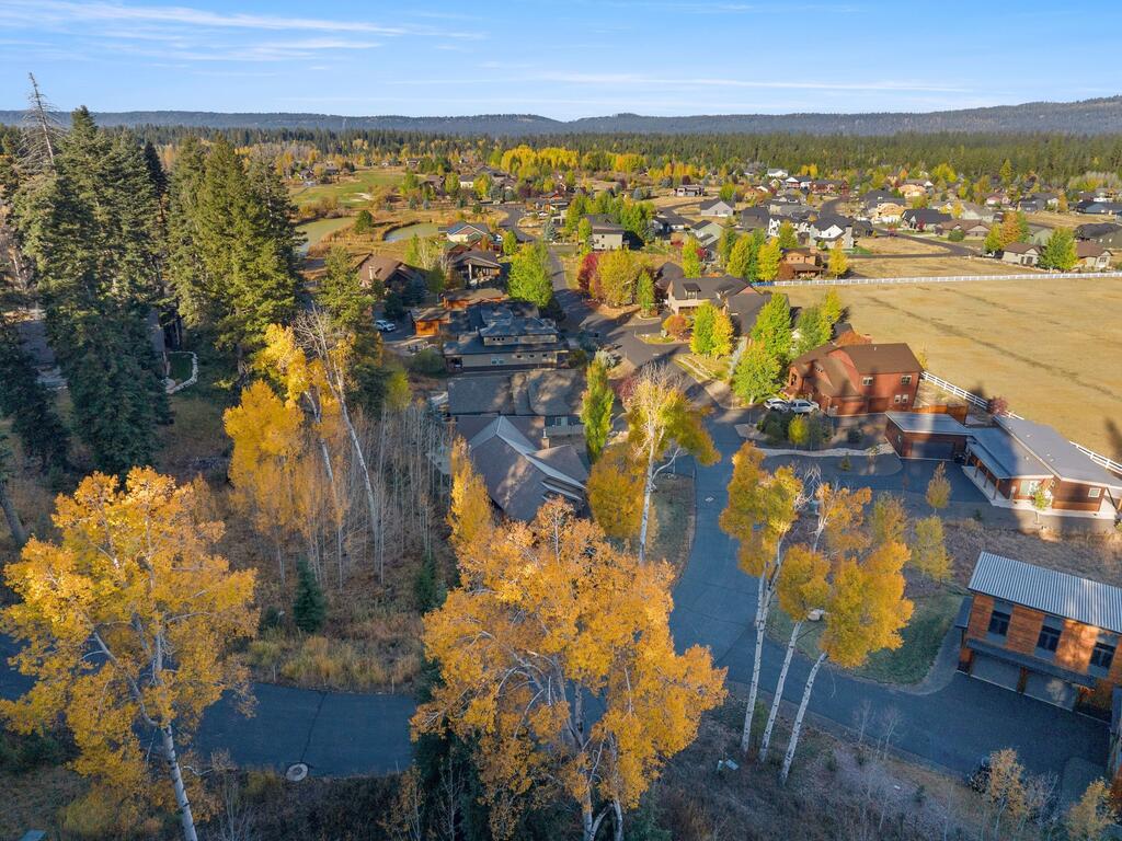 1500 Dragonfly Loop, McCall