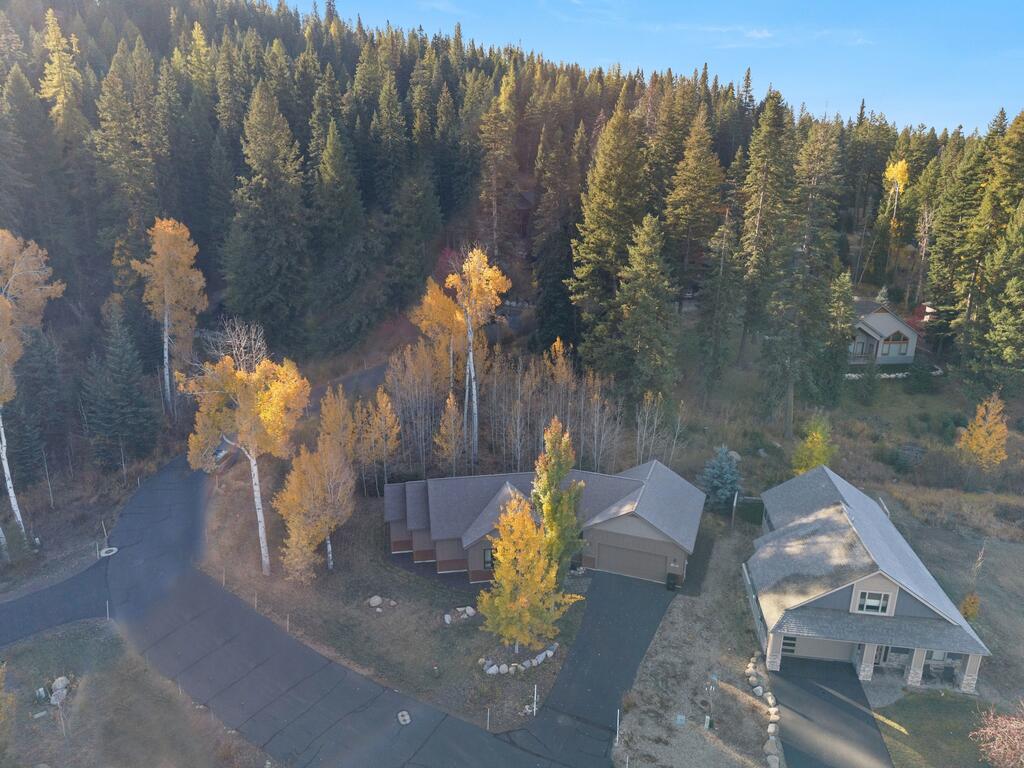 1500 Dragonfly Loop, McCall